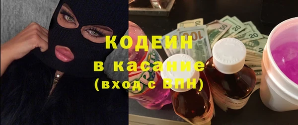индика Беслан