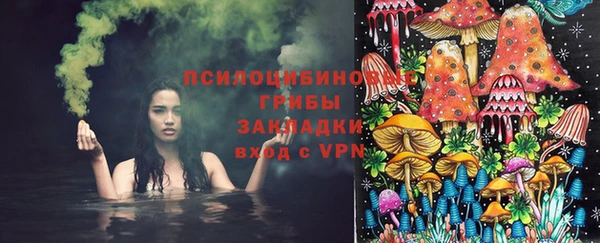 гидра Абдулино
