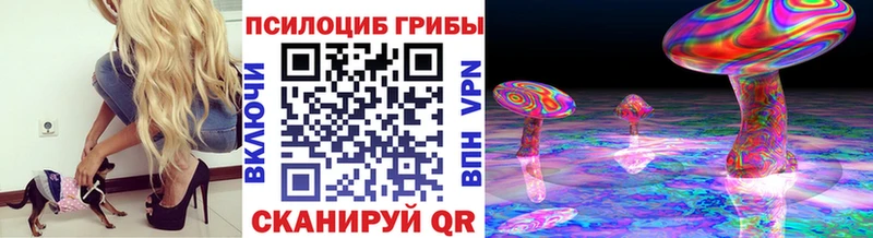 Галлюциногенные грибы GOLDEN TEACHER  Каменногорск 